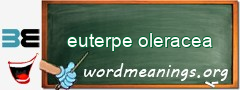 WordMeaning blackboard for euterpe oleracea